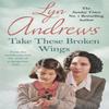 Take These Broken Wings by Lyn Andrews Paperback Book 9781472240378