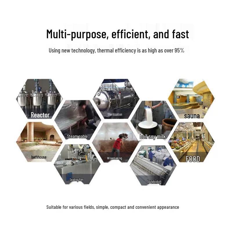 Erboli 3kW Semi-automatic Industrial Steam Generator with Iron CN plug (adapter included)