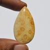 Natural Fossil Coral Gemstone Cabochon, Top Quality Indonesians Fossil Coral Cabochon Craft Supply 35 Carats Pear Shape, Jewelry Making