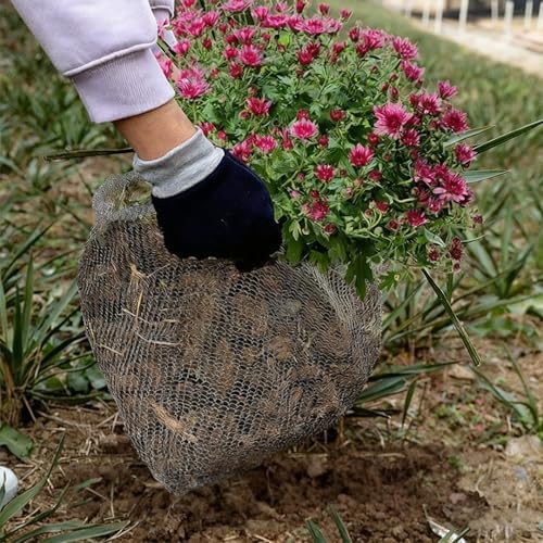 15 Pack Bulb Planting Baskets, Root Protection Cages for Bulbs, Veg, Trees, Indoor Outdoor