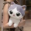 Милая плюшевая игрушка Duoduo Cat, большие глаза, улыбающаяся кошка, кукла, мягкая игрушка-зверь, детская игрушка, подарки на день рождения