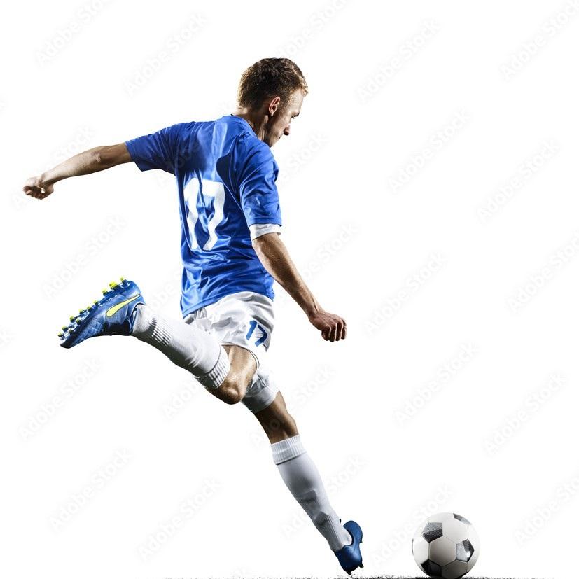 THAILAND National Football Soccer Training JERSEY Casual CHEER Print Quick Dry Shirt Polo Polyester Short Sleeve Uniform Elephant Logo Sport Outdoor