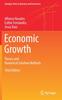 Книга Economic Growth : Theory and Numerical Solution Methods