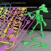 3D Articulated Doll Skeleton Model: DIY Assembly Movable Figure Toy Pendant