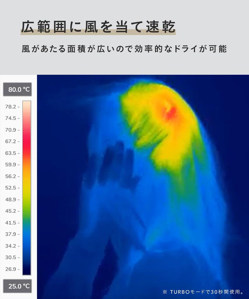 SALONIA Speedy Ion Hair Dryer, High Airflow, Fast Drying, Lightweight, Negative Ion Hair Dryer, SL-013GR, Gray