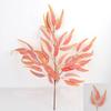 Лист цветка эвкалипта с многоцветными вариантами для домашней фотографии в помещении
