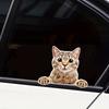 Наклейки на автомобиль «Забавный котенок» для окна автомобиля, заднего стекла, крышки бензобака, заднего бампера, защита от царапин, виниловые наклейки