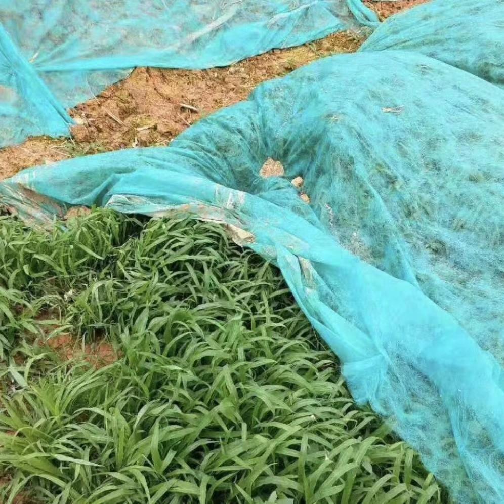 Breathable Green Non-woven Fabric for Garden, Construction, Dust & Soil Cover, Lawn & Slope Protection, Planting.