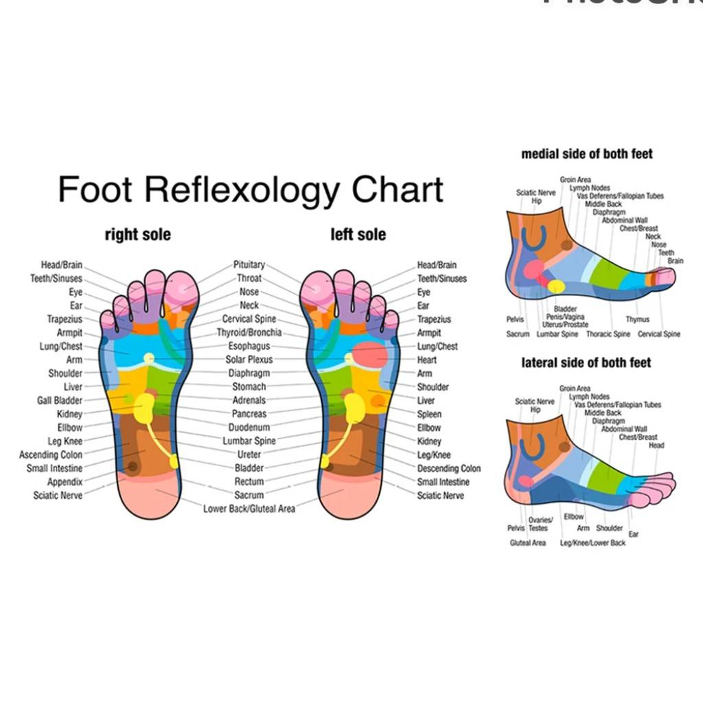 Set Pillow Mat Massage Neck Foot Yoga Needle Back Cushion Acupressure Health Foot Point Diagram Plastic Relax Stand Press