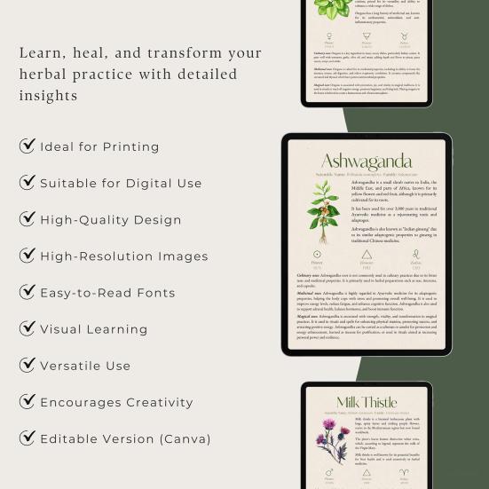 Справочник по травам 82 лекарственных растения Медицинское руководство по траволечению Растительные средства и рецепты Диспансер