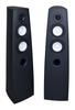 Acoustique Quality CANTO 5 - Audiophile Floorstanding Speaker, Two-way Design with 230W Power / SB ACOUSTICS, Acoustique Quality
