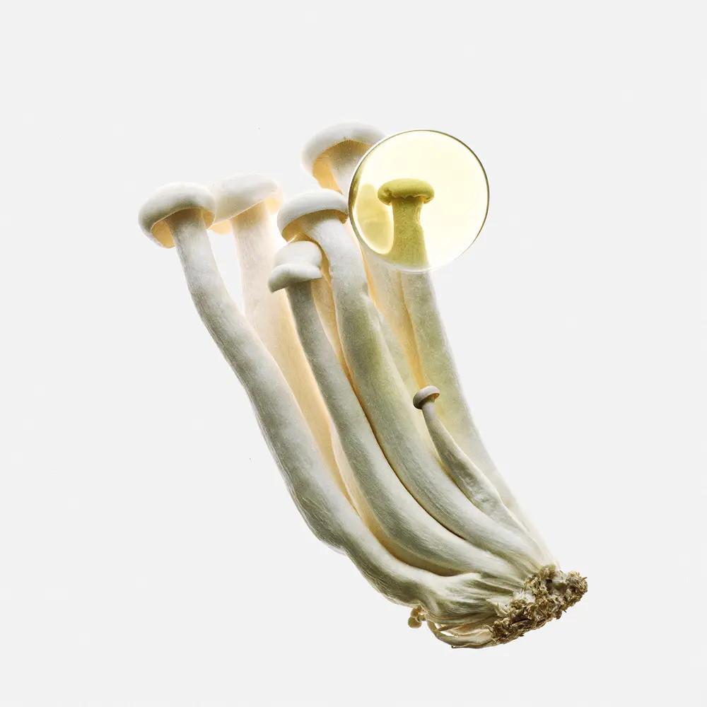 Eau de Parfum Loewe Earth Elixir 50 ml