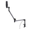 USB Condenser Microphone Adjustable Desktop Microphone Stand RGB Mic Stand Kit for Home Live Streami