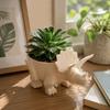 Desktop Decoration Dinosaur Flowerpot Funny Plant Planting Pot Creative Small Storage  Office
