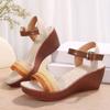 Fashion 2024 New Summer Espadrille Platform Wedges Sandals Trendy Fashion Leisure Comfy Women Beach Shoes Sandals Luxury Women Designers