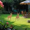 1Pc Iron Deer-Shaped Garden Decoration Ground Insert, Outdoor Christmas Decoration, Suitable for Outdoor Lawn and Courtyard Garden Decoration