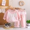 Kids Casual Long-Sleeve Set, Comfortable Daily Wear Outfits