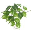 Monstera Wall Hanging - Green Plant Decor for Landscaping and Scene Setting