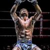 Белые шорты для муай-тай, кикбоксинга, бокса, ММА, UFC, повседневные, для спортзала, унисекс, мужские, женские, для тренировок, быстросохнущие, с принтом, эластичные, с высокой посадкой