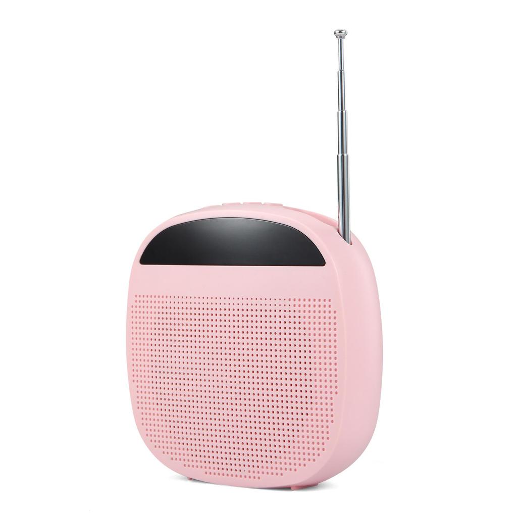 Портативная беспроводная колонка Little Bee с петличным микрофоном для учителей и танцевальных мероприятий