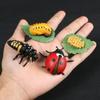 Cycle Plastic Models Life Cycle Figurine Simulation Animals Action Figures Growth Cycle Model
