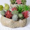 Mini Flocking Artificial Succulent Bonsai for DIY Wall Decor