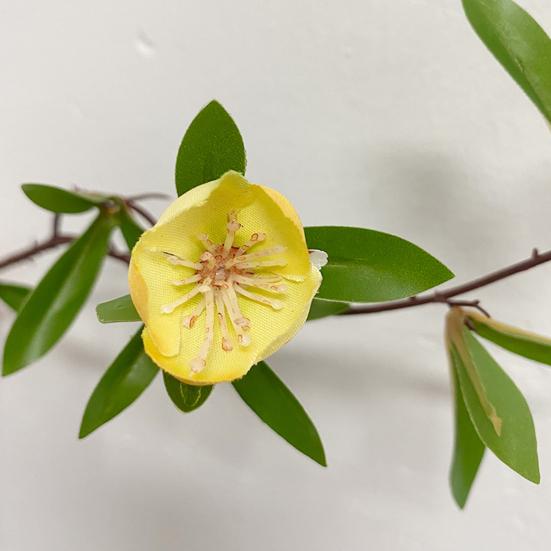 Практическая имитация ветвей ростков, не требующих полива, не засохших реквизит для фотографий