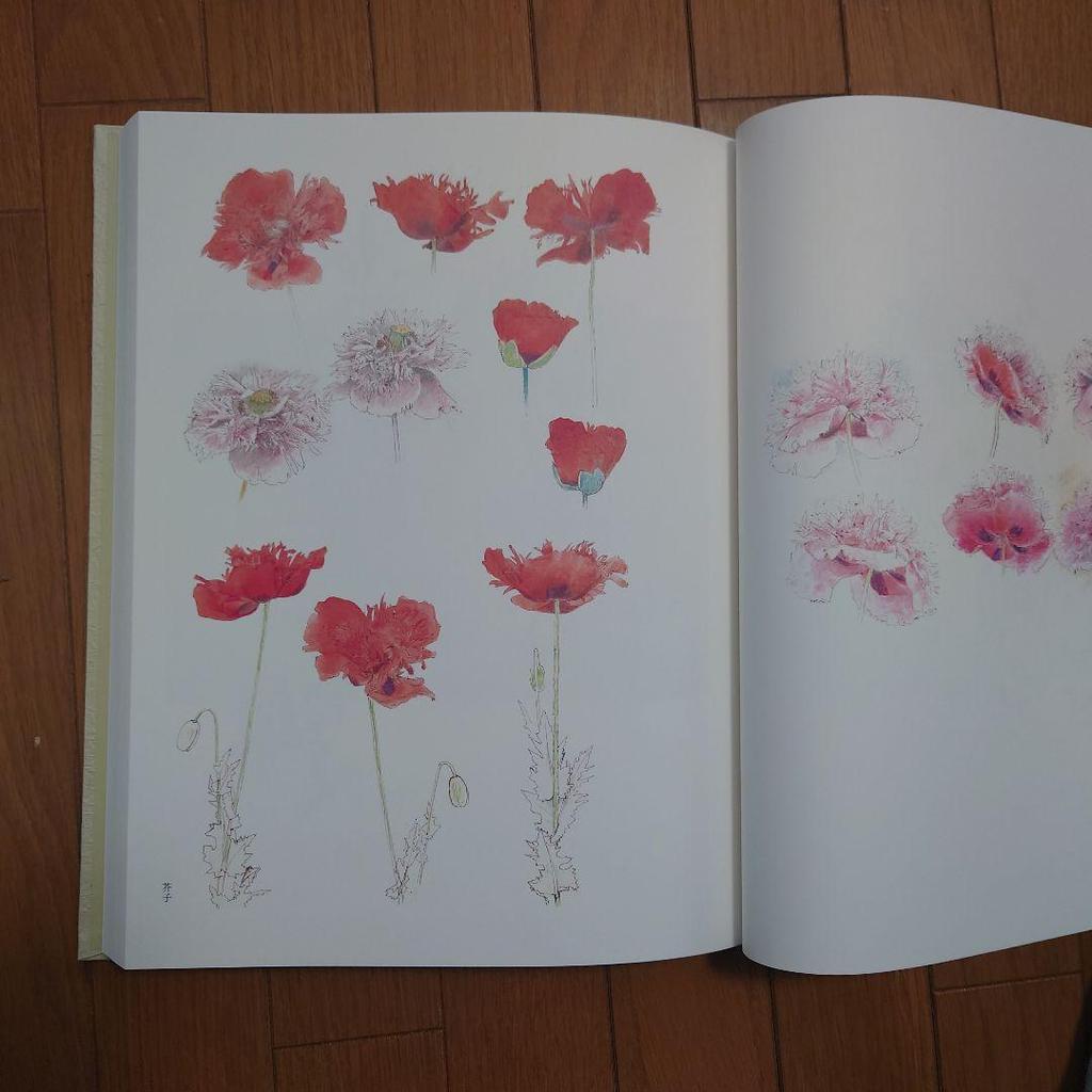 [Б/У] Коллекция искусства Уэмура Сёко