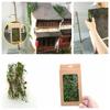 Realistic Miniature Vines Simulation Vine for DIY Mini Model Railroad Fairy Garden Architecture Scenery Landscape Layout