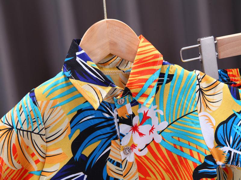 Комплекты из 2 предметов для мальчиков от 0 до 4 лет: комплекты с гавайскими шортами, рубашка на пуговицах с короткими рукавами и шорты