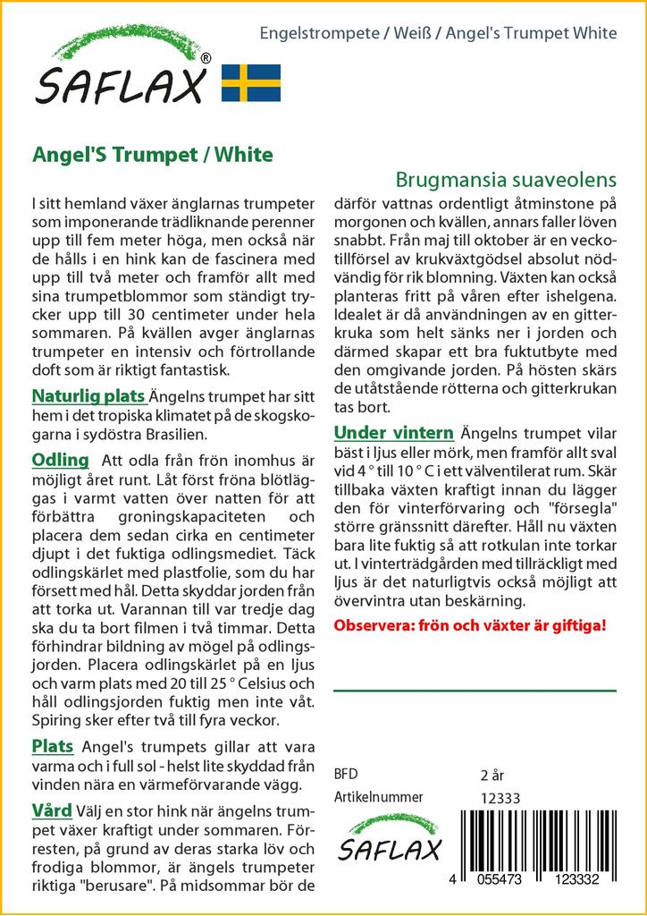 SAFLAX Angel's Trumpet White - 10 семян - Brugmansia suaveolens