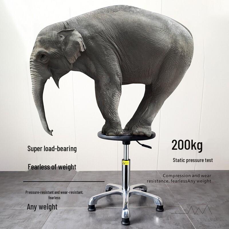 Shang Liuxin Antistatic Height Adjustable Round Stool