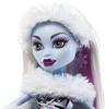 Monster high Кукла Эбби Боминейбл из оригинальной перевыпущенной серии с подставкой, дневником, питомцем и расческой