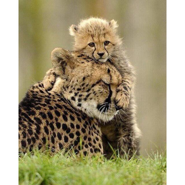 5D Алмазная картина Лев Мать и сын Набор для вышивки крестом Ручная алмазная вышивка Горный хрусталь