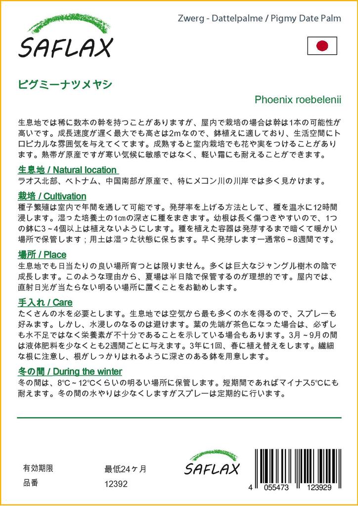 SAFLAX Финиковая пальма пигмейская - 25 семян - Phoenix roebelenii