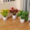 1:12 пластиковых ваз для моделирования, 9 цветов, зеленые растения Луо, миниатюрные украшения для кукольного домика