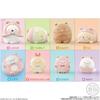 Sumikko Gurashi Friends 8 Candy Gum (12 pieces) Toys/Chewing (Sumikko Gurashi)