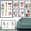 Abstract Organs Heart Skeleton Teeth Painted Wall Art Posters Home Room Decoration Canvas Painting Murals Pictures Print Artwork