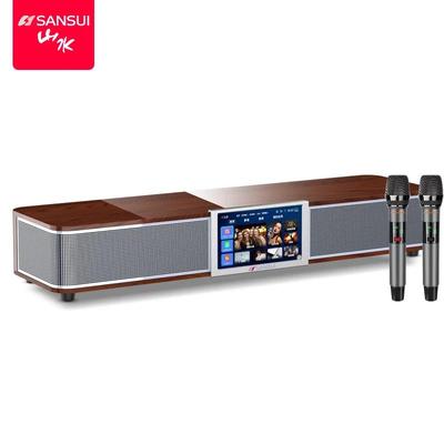SANSUI DV-92P Домашняя KTV система CN вилка (адаптер в комплекте)