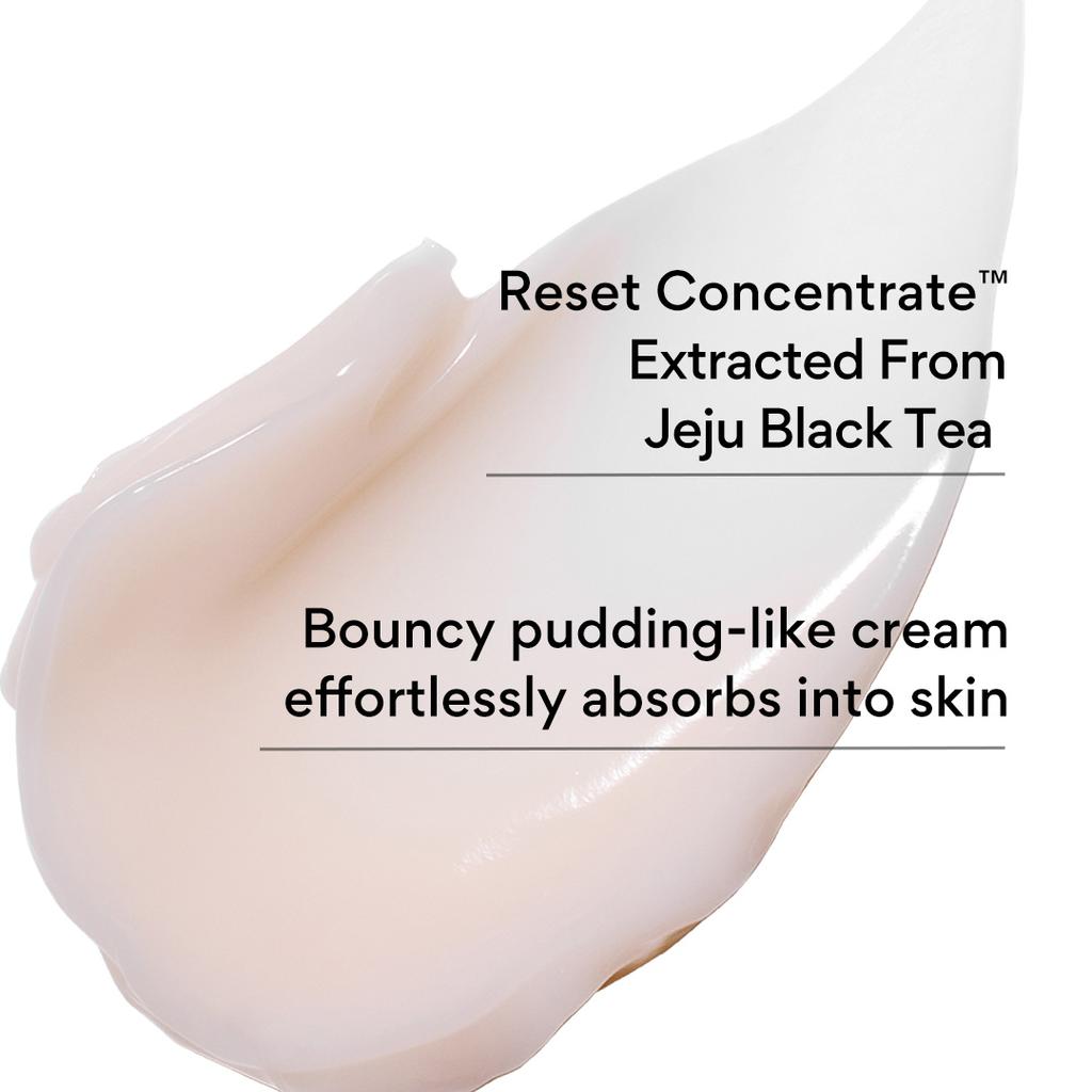 Innisfree Крем для молодости «Черный чай» 50 мл НОВИНКА