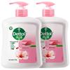 Dettol Увлажняющее антибактериальное жидкое мыло для рук
