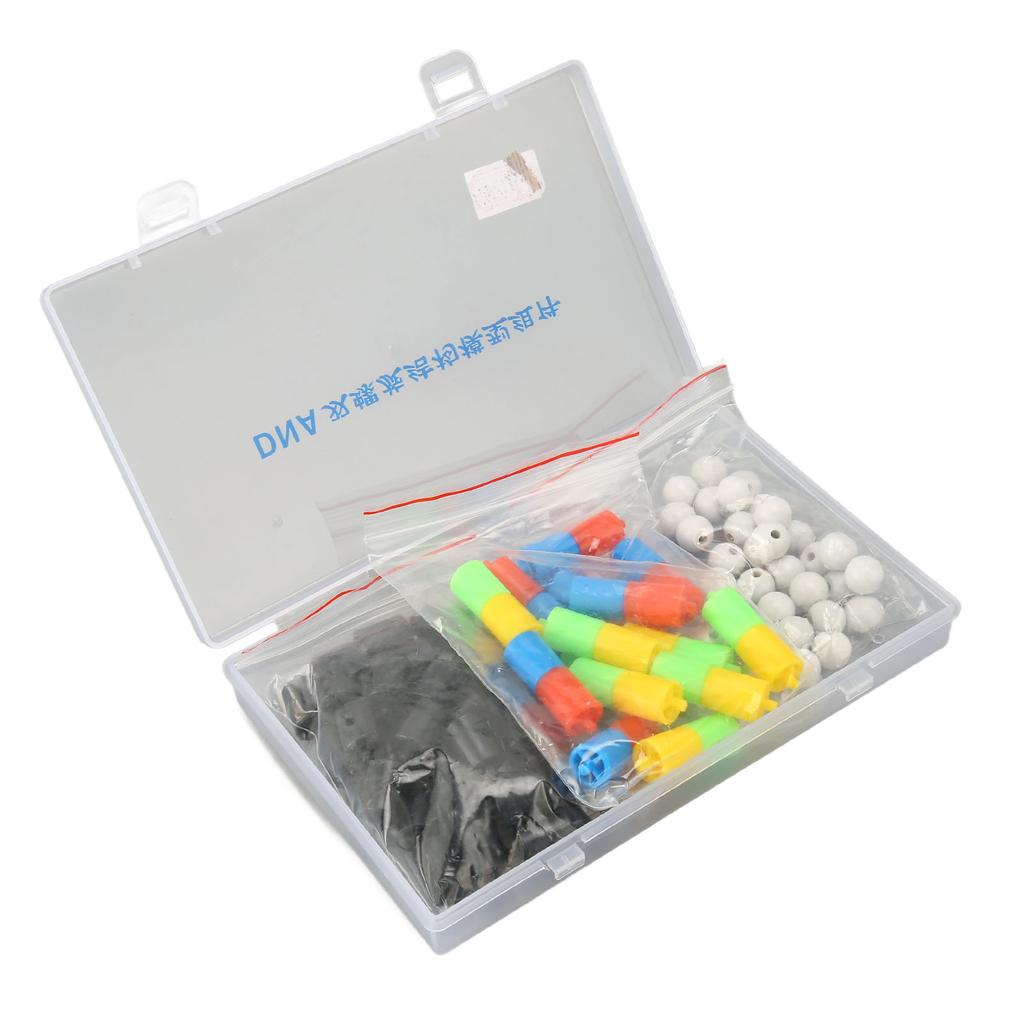 Модели структуры двойной спирали ДНК Образовательный комплект моделей двойной спирали ДНК Биологическая наука Популярный