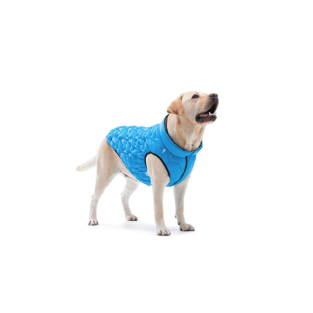 Uno Jacket for Dog