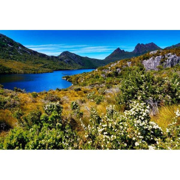 Wakasho HONEY JAPAN Капли манука мед и имбирь 22 г (6 капсул)Он сделан без сахара или сиропа, Он сделан без сахара или сиропа, с использованием только меда.