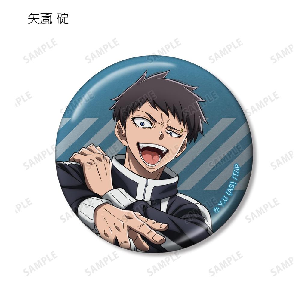 Togen Anki Trading Metallic Can Badges Box of 11