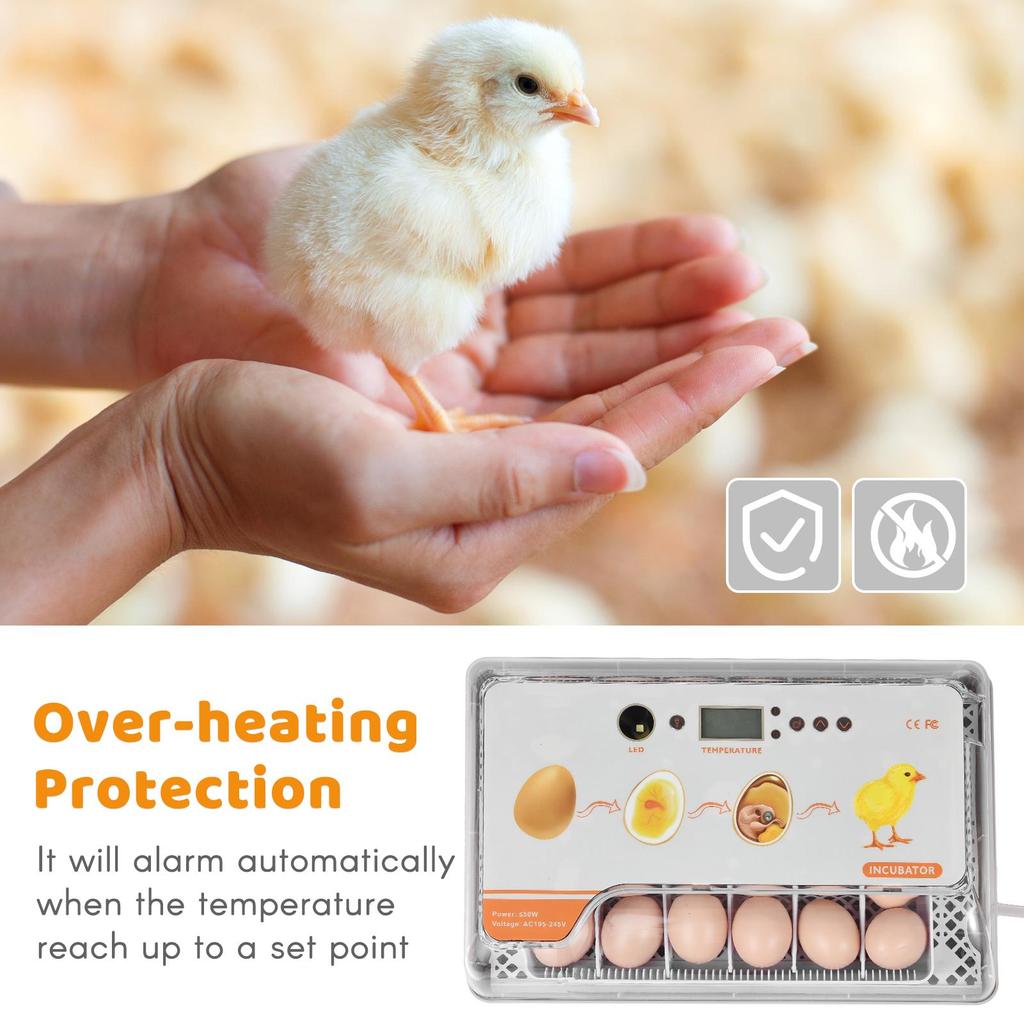 Digital Egg Incubator 20 Eggs Poultry Hatcher with Auto Egg Turning Temperature Control LED Light