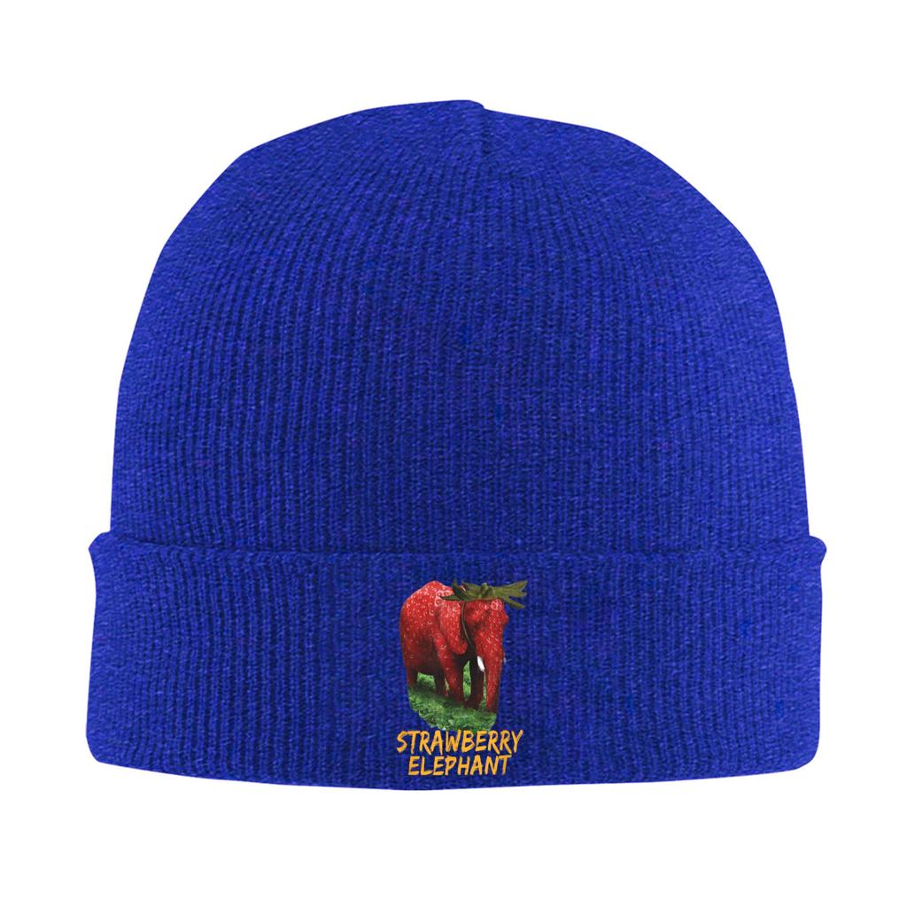 Italian Strawberry Elephant Meme Beanie Hats Bonnet Hats Men Women Y2K Cool Outdoor Sport Knitted Hat Spring Graphic Warm Caps