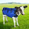 Зимнее одеяло для коровы Водонепроницаемое стеганое одеяло для лошади с обхватом живота Ветрозащитное с плюшевой подкладкой Выгульное одеяло с регулируемыми пряжками для телят и лошадей