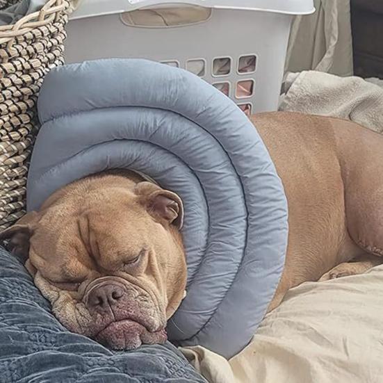 Собачий конус мягкий регулируемый воротник-пончик со шнурком альтернатива конусу для собак после операции для крупных средних маленьких собак и кошек