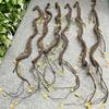 100cm Floral Arrangements Flexible with Leaves DIY Tree Rattan Wall Hanging Vine Branch Home Decor Artificial Plants